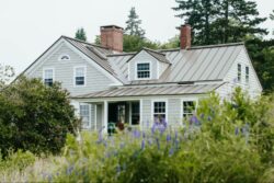 Image11